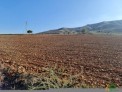 Terreno, Regadio, 205000 m2, Consultar, planta 0, 