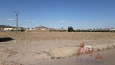 Terreno, 10000 m2, Consultar, planta 0,  TERRENOS 