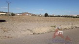 Fotos del anuncio: Terreno, 10000 m2, Consultar, planta 0,  TERRENOS 