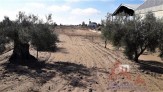 Terreno, 2000 m2, Consultar, planta 0,  TERRENO AL