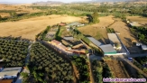 Fotos del anuncio: Se vende gran finca en Con Mlaga costa del sol chollo 