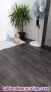 Cachorro caniche
