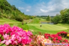 Fotos del anuncio: Vendo accin del club de golf basozabal en san sebastin