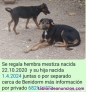 Fotos del anuncio: Urgente se regalan 