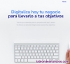 Desarrollador y programador web profesional