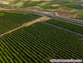 Fotos del anuncio: Se vende finca de 18 hectreas