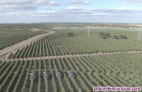 Fotos del anuncio: Venta de fincascrustica desde 1HECT-10HECT-20HECT-50HECT-100HECT-200HECTECT ECT