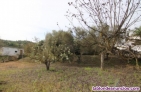 Fotos del anuncio: Se vende finca con casa y piscina a reformar 