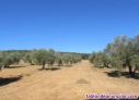 Fotos del anuncio: Venta de Finca Rustica en Portugal cerca del pantano de alqueva