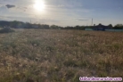 Fotos del anuncio: Venta de terreno en las arenas