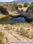 Fotos del anuncio: Finca con mucha agua