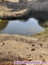 Fotos del anuncio: Finca con mucha agua