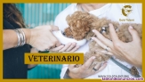 Fotos del anuncio: Veterinario Generalista