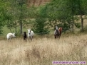 Fotos del anuncio: Rutas a caballo en La Costa de Mollo