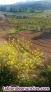 Fotos del anuncio: Se vende finca en Con chollo 