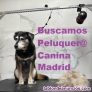 Peluquera Canina / o en Madrid Ensanche de Vallecas