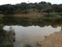 Fotos del anuncio: Maravillosa finca de caza a tan solo 50 Km de And