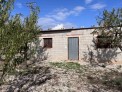 Fotos del anuncio: Finca de 15 tahullas, con plantacion de oliveras, 