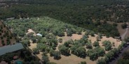 Espectacular finca cercana al Valle de Cuelgamuros