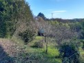 Fotos del anuncio: Oportunidad de invertir en gran casa con finca en 