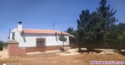 Se vende casa de campo con 500 almendros, piscina. Luz, riego... En Valedepeñas 