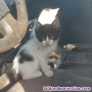 Fotos del anuncio: Ayuda por favor - muy urgente -transporte solidario mascotas