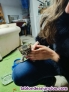 Fotos del anuncio: Se regalan gatitos a gente que los cuide 