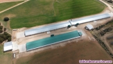 Fotos del anuncio: Venta granjas pollo de engorde
