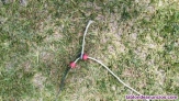 Fotos del anuncio: Cometa naish ride 11m