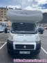 Fiat Ducato Blanco
