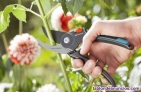 Fotos del anuncio: Jardinero Profesional