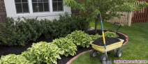 Fotos del anuncio: Jardinero Profesional