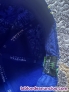 Fotos del anuncio: Gorra monster