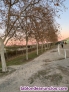 Fotos del anuncio: Campamentos en hipica villaviciosa