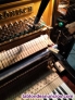 Fotos del anuncio: Afinador de pianos