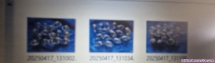 Fotos del anuncio: 46-BOLLAS o Budod-flotadoras