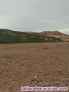 Fotos del anuncio: Vendo finca