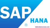 Fotos del anuncio: Programador abap (sap) y hana 2.0