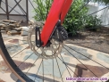 Fotos del anuncio: Dos bicicltas - Canyon Endurace CF 7.0 (2024)