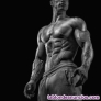 Fotos del anuncio: Suplementos anabolicos defininicion volumen gym