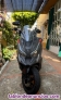 Fotos del anuncio: Moto KYMCO