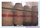 Fotos del anuncio: Tinajas de barro antiguas  3.000L aprox  +50 aos