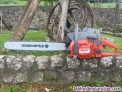Fotos del anuncio: Motosierra OleoMac 962 + sable 22"