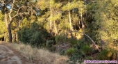Fotos del anuncio: Venta terreno Rustico
