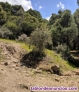 Fotos del anuncio: Venta terreno Rustico