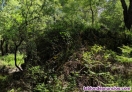 Fotos del anuncio: Venta terreno Rustico