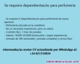 Fotos del anuncio: Dependientas/es 