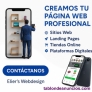 Desarrollo de Paginas Web Profesionales