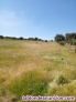 Fotos del anuncio: Vendo parcela rustica