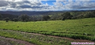 Se vende Finca de caza y recreo de 267 hectáreas
